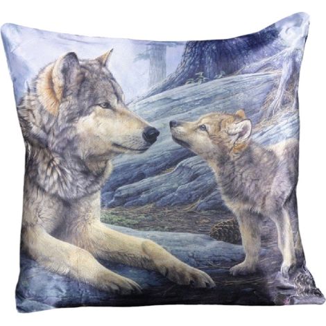 Coussin les freres loup 42 cm