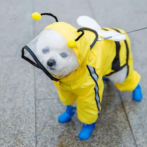 Imperméable pour animaux, veste imperméable pour chien avec bandes réfléchissantes, respirante (1/5)