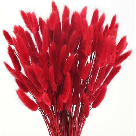 Lot de 120 fleurs séchées rouges herbe de la pampa 43 cm – Décoration naturelle pour maison et mariage – Fleurs séchées pour bouquets - 120pcs