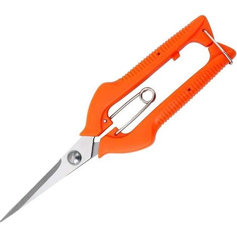 KATUR Ciseaux d'élagage professionnels pour rosiers de jardin, lames droites en acier inoxydable pour arrangement floral, coupe (1/5)