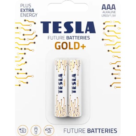 Tesla Gold+ LR03 AAA Alkaline-Batterien 2 Stück.