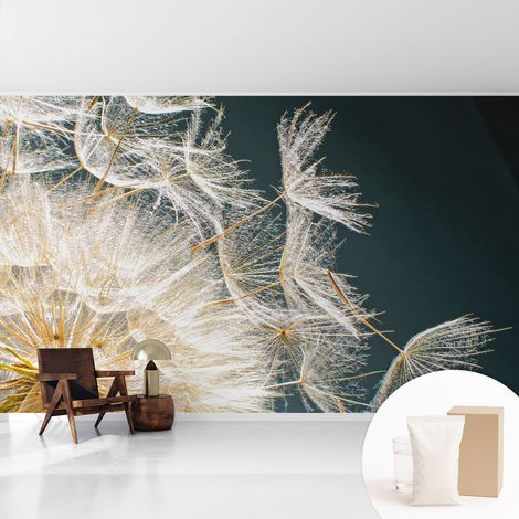Papier peint intissé décoratif pour salon chambre et cuisine Facile à poser avec colle Pissenlit de légèreté 416x254 cm (1/5)