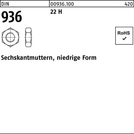 Sechskantmutter DIN 936 M 1022 H 100 Stück (1/2)