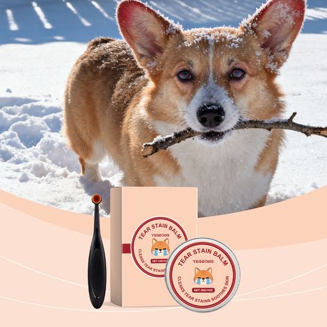 Soin lacrymal pour animaux, convient aux chats et aux chiens, hydrate et nettoie le contour des yeux, en douceur – 30 g + brosse (1/5)