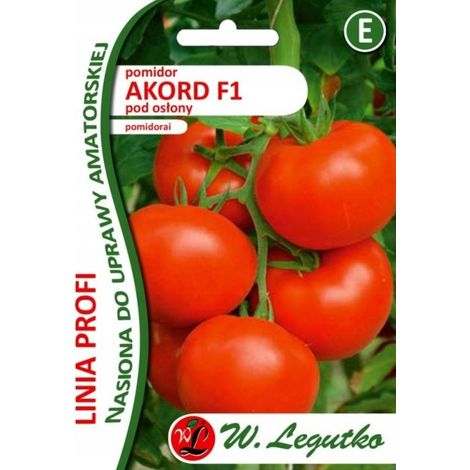 POMODORO in serra Akord F1 30 semi SERIE PROFI SEMI DI LEGUTKO