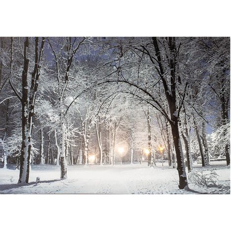 Panneau Led Paysage Enneigé Décoration Lumineuse Hivernale, 6 Leds - Lumineo (1/3)