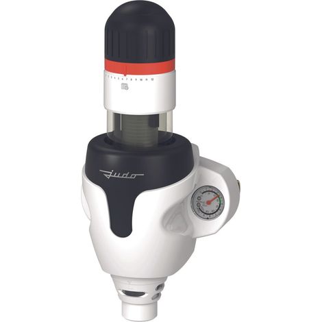 JUDO Rückspül-Schutzfilter - JPF-QC 1 1/4'' 500 ym V2021, 8010229