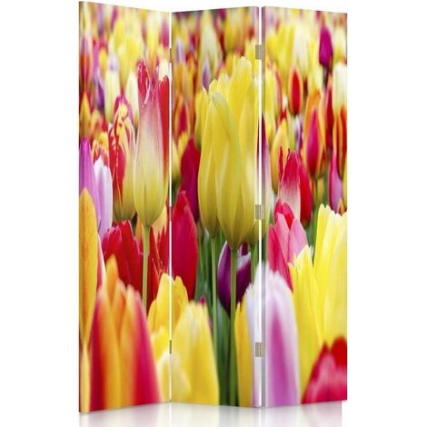 Paravento bilaterale 360, Tulipani multicolori - 110x170 (1/5)