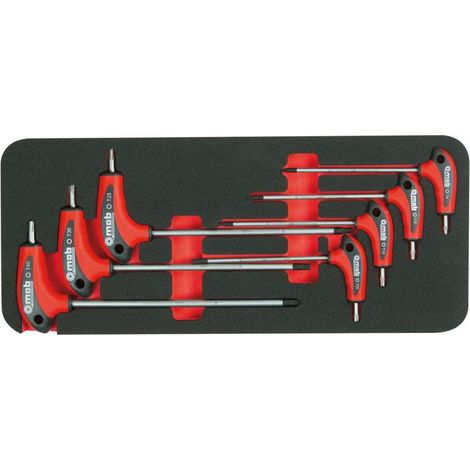 Coffret clés Torx en T – Module mousse 385x165 mm - MOB (1/4)