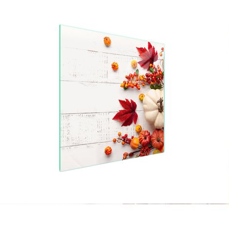 PLACA PROTECTORA DE VIDRIO PARA ESTUFA 50x52 CALABAZA (1/5)