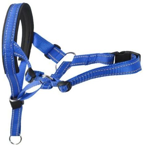 Muzzle for pets, 36-50 cm, blue (1/5)