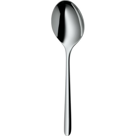 cuillère de service 24 cm, couverts de service, acier inoxydable poli, résistant aux rayures, va au lave-vaisselle