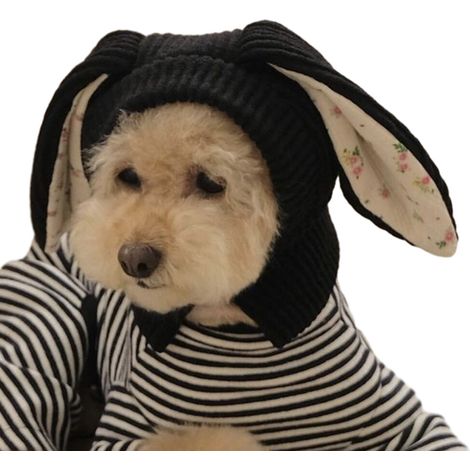 Cappello per cani con orecchie da coniglio lavorate a maglia - Nero L