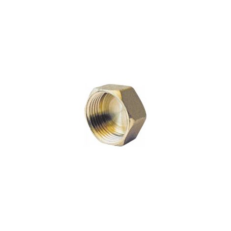 Bouchon en laiton femelle 1/2" à visser - Type 300 - 860-15 - ProNorm - Ayor (1/3)