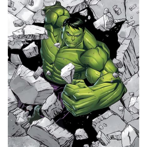 Poster XXL Hulk Breaker Briseur de Carcasse l250 x H280 cm (1/5)