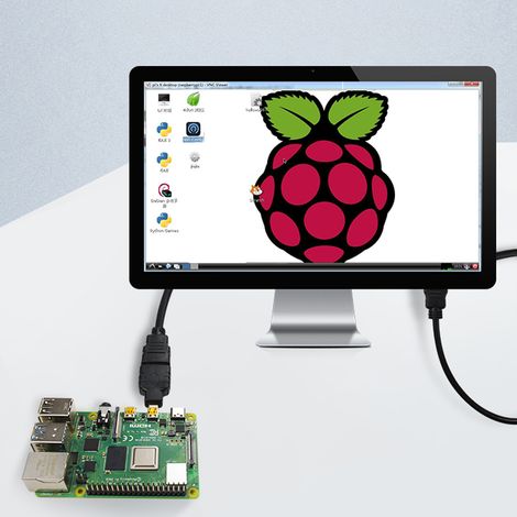 10 Adaptateurs Micro HDMI vers HDMI ABS Noir Compatibles Raspberry Pi 4B, 1080P