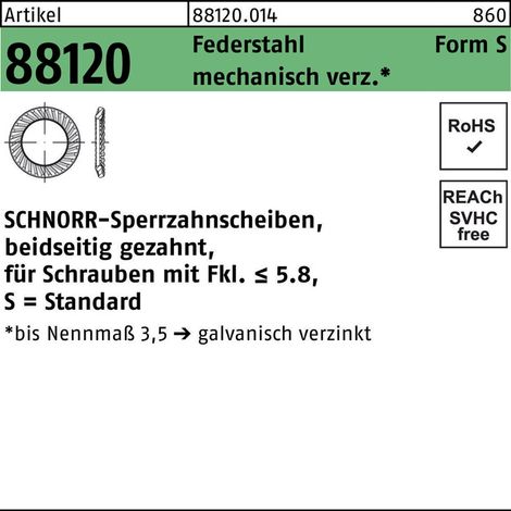Schnorr Scheiben Federstahl S 30 mech. verzinkt mech Zn S 100 Stk (1/2)