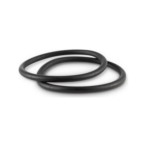 Didiesse Guarnizione O-ring per Macchine Caffè ESE e Frog Resistente Alte Temperature