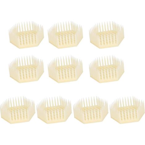 10Pcs Beekeeping Rearing Box, Queen Bee Cages for Queen BeelBeekeeping Equipment, Hexagonal Shape Queen Cage Beekeeper Tool Beekeeping Equipment Bee Keeping Accessories (1/5)