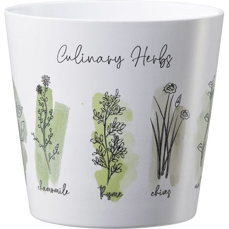 Scheurich Übertopf Culinary Herbs Ø 14 x 13,2 cm weiß-grün (1/2)