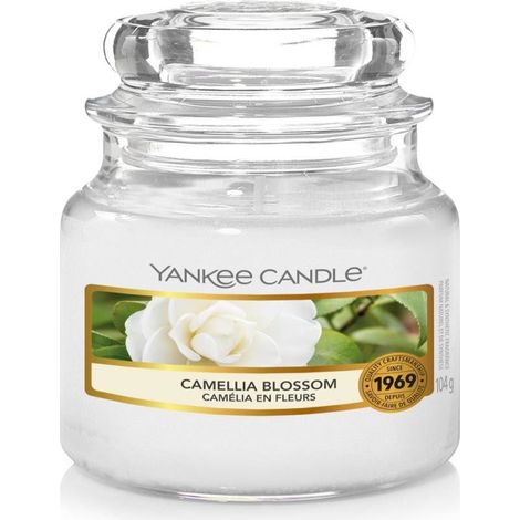 Yankee Candle Duftkerze Kamelienblüte, kleines Glas, 104 g