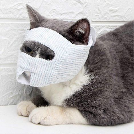 Muselières en maille respirante empêchant les chats de mordre et de mâcher (1/5)