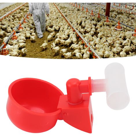 Bebedero automático para aves de corral, 10 vasos, sistema antifugas, G3/4, para pollos, patos, palomas y otras aves. (1/5)