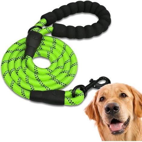 Laisse de Chien Forte en Nylon Rond avec Double Poignée Confortable (1/3)