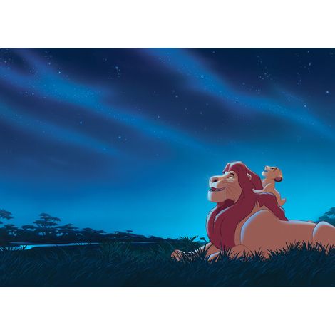 Papier peint panoramique - Disney Le Roi Lion Stargazing - Taille: 350 x 250 cm