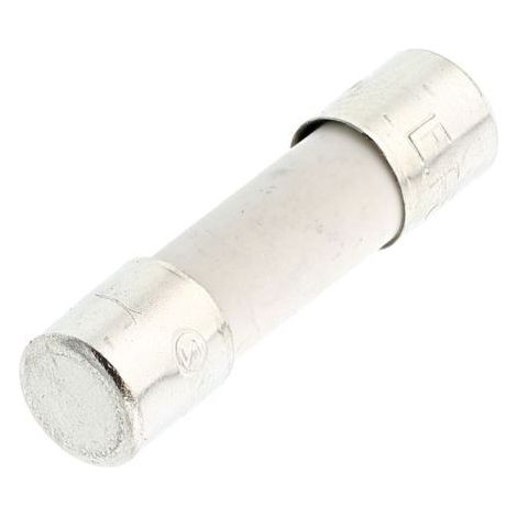 Ersatzteil - Sicherung 8 A - - AEG, ARTHUR MARTIN ELECTROLUX, ELECTROLUX, PROGRESS, REX, ZANUSSI, JUNO, GORENJE, FAURE