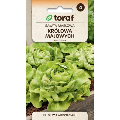 Lechuga mantecosa, Reina de Mayo, 2 g