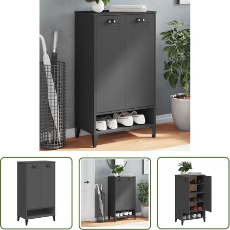 The Living Store Armoire à chaussures VIKEN gris anthracite bois d'ingénierie - Armoire À Chaussures - Meuble Chaussure - Rangement Chaussures - Placard Chaussures - Rangement Intérieur