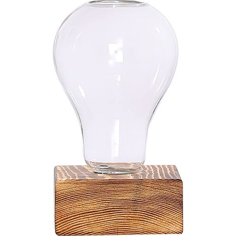 Vase en verre transparent style rétro coloré idéal pour plantes hydroponiques lierre vert compositions florales décoration bureau maison (1/5)