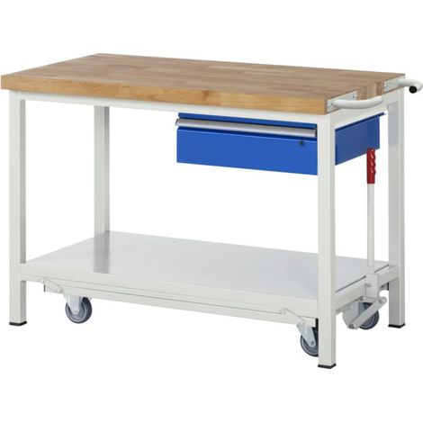 Etabli Rau avec châssis abaissable modèle 8001 L 1250 x P 700 x H 880mm (1/5)
