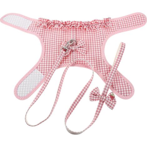 Arnés de malla suave con cuerda de tracción para pasear perros pequeños (1 juego) (1/5)