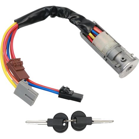 Cylindre serrure d'allumage pour 220 Bouclier break van et camion 220 Zeta 220 806 Expert 224 camionnette et camion (1/5)
