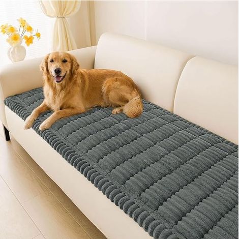 Thick Washable Sofa Cover Non Slip Pet Protector Tatami Mat and Sofa Bed Cover (1/5)