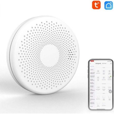 2-in-1 WiFi Smart Carbon Monoxide Smoke Detector with Gas Sound and Strobe Light Alarm Function (1/5)