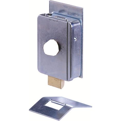 Elettroserratura Elettrica Verticale Per Cancello Battente 12V 24V FAAC 712661 VIRO
