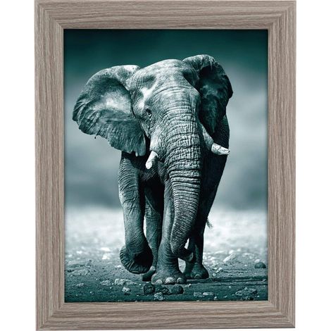 goldbuch portafoto Toscana in Legno, Formato 15 x 20 cm, Ritratti Supporto da Parete, Singola in MDF, Cornice per Foto, Grigio