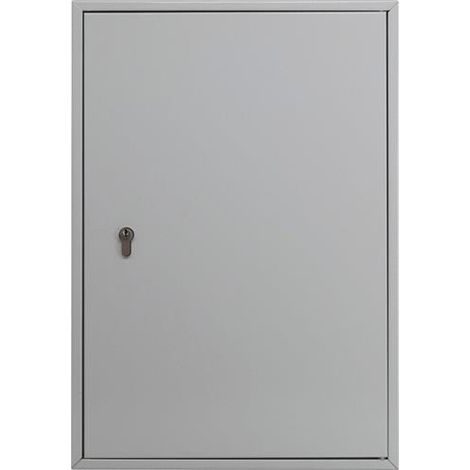 Armoire à clés 6850/50 PZ H550xL377xP80mm PZ nb. crochets 50 BURG-WÄCHTER