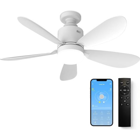 Ventilateur Plafond Éclairage LED - 53cm 24W - Contrôle App 4 Vitesses - Socle E27 Inclus - Intensité Variable Intérieur (1/5)