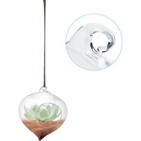 Pot de fleurs suspendu en verre pour plantes succulentes, décoration pour la maison et le jardin (1/5)