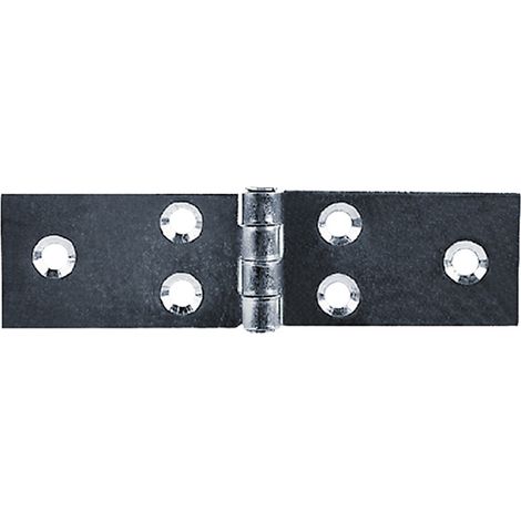 1BL CERNIERA ALI LUNGHE ART.122 mm 31 x 160 - pz. 2