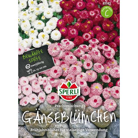Sperli Gänseblümchen gefüllt Prachtmischung - Blumensamen (1/4)