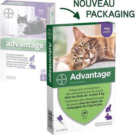 ADVANTAGE Soluzione Antipulci Gatto Coniglio +4kg 6 pipette