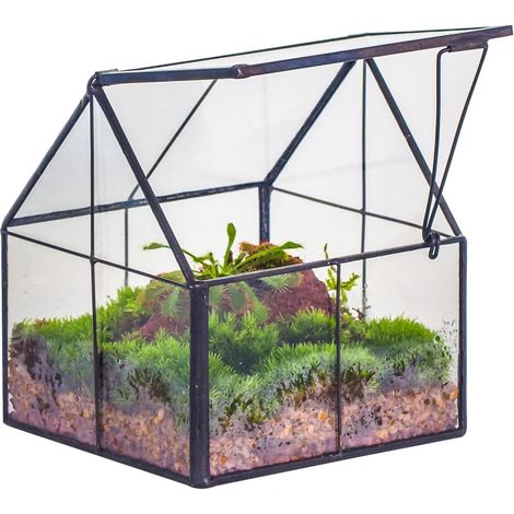 10,8x10,8x12,5 cm Mini Noir Terrarium Géométrique en verre avec couvercle Fait à la main, Pour petites plantes succulentes, Décoration de table pour la maison jardin bureau (Terrarium Uniquement) (1/5)