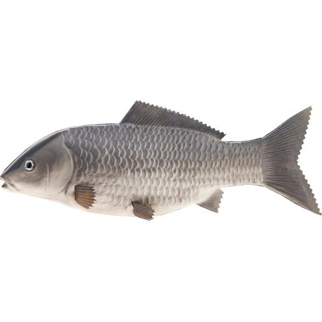 Ornements JeiibrZui - Carpe artificielle de 35 cm - Modèle décoratif gris (1 pièce) - Idéal pour la cuisine, les restaurants, la photographie et les jeux éducatifs (1/5)