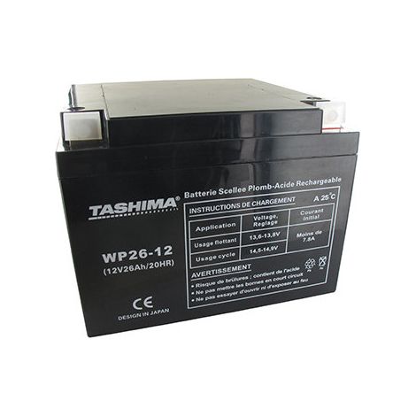 Motorrad-Batterie Tashima 12V, 26A Anpassen Für Snapper. L: 165, L: 175, H: 125mm, + Rechts. - Batterie Zum Einfüllen von Säure
