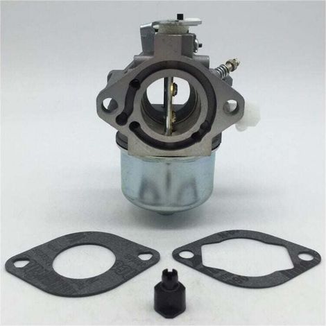 Carburatore Briggs & Stratton Briggs & Stratton 699831 283702 694941 (1/4)